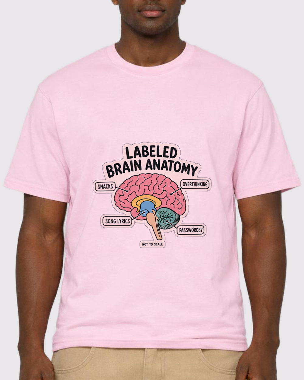 Labeled Brain Anatomy Overthinking Pop Culture Graphic T-Shirt, primary front view, image 1